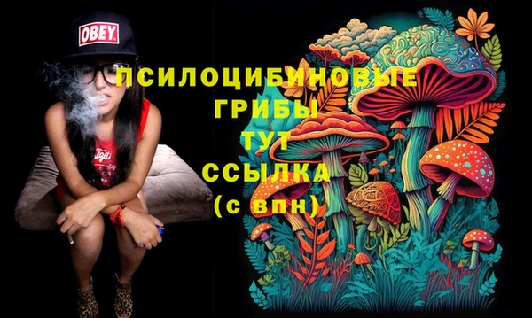 спиды Туринск