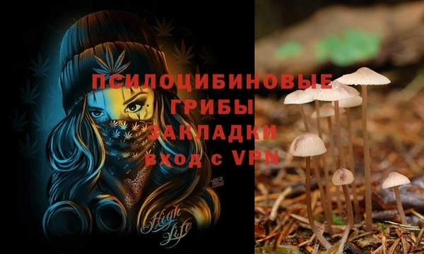 СК Баксан